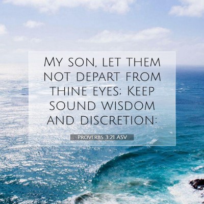 Picture 07 - Proverbs 3:21 ASV - My son, let them not depart from thine eyes; Keep - Bible Verse Picture