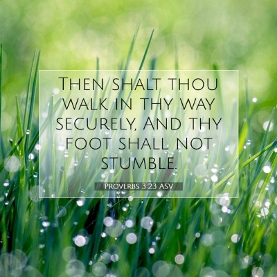 Picture 07 - Proverbs 3:23 ASV - Then shalt thou walk in thy way securely, And thy - Bible Verse Picture