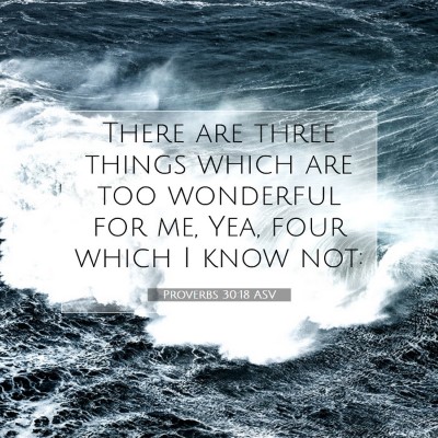 Picture 07 - Proverbs 30:18 ASV - There are three things which are too wonderful - Bible Verse Picture