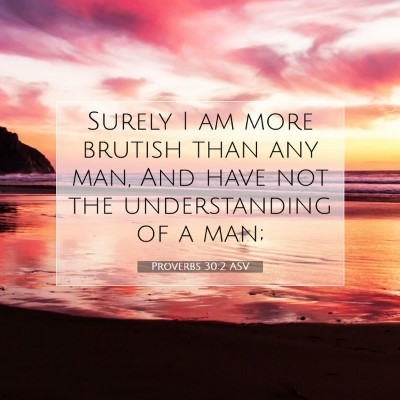 Picture 07 - Proverbs 30:2 ASV - Surely I am more brutish than any man, And have - Bible Verse Picture