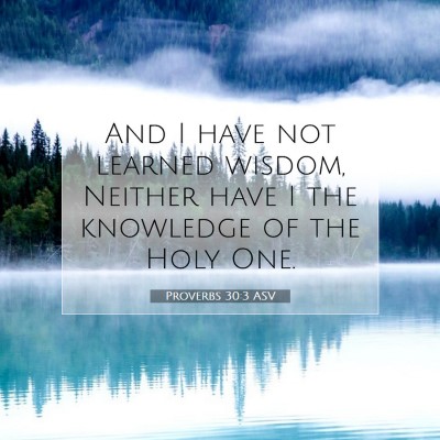 Picture 07 - Proverbs 30:3 ASV - And I have not learned wisdom, Neither have I the - Bible Verse Picture