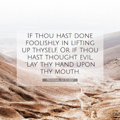 Picture 07 - Proverbs 30:32 ASV - If thou hast done foolishly in lifting up - Bible Verse Picture