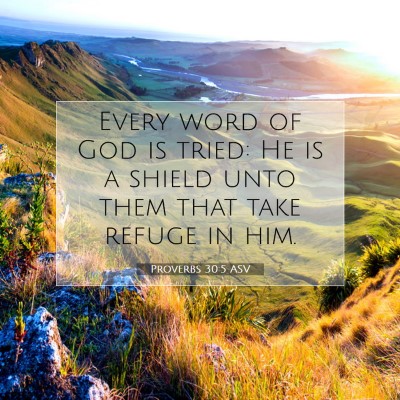 Picture 07 - Proverbs 30:5 ASV - Every word of God is tried: He is a shield unto - Bible Verse Picture