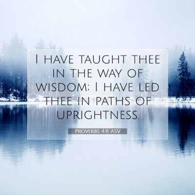 Picture 07 - Proverbs 4:11 ASV - I have taught thee in the way of wisdom; I have - Bible Verse Picture