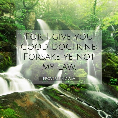 Picture 07 - Proverbs 4:2 ASV - For I give you good doctrine; Forsake ye not my - Bible Verse Picture