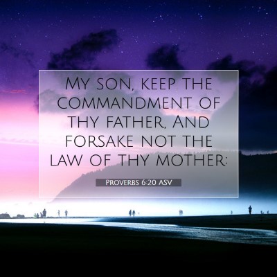 Picture 07 - Proverbs 6:20 ASV - My son, keep the commandment of thy father, And - Bible Verse Picture