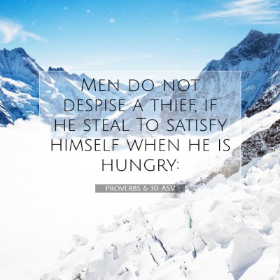 Picture 07 - Proverbs 6:30 ASV - Men do not despise a thief, if he steal To - Bible Verse Picture