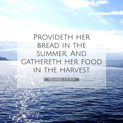 Picture 07 - Proverbs 6:8 ASV - Provideth her bread in the summer, And gathereth - Bible Verse Picture