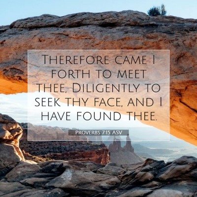 Picture 07 - Proverbs 7:15 ASV - Therefore came I forth to meet thee, Diligently - Bible Verse Picture