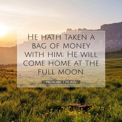 Picture 07 - Proverbs 7:20 ASV - He hath taken a bag of money with him; He will - Bible Verse Picture