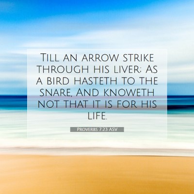 Picture 07 - Proverbs 7:23 ASV - Till an arrow strike through his liver; As a bird - Bible Verse Picture