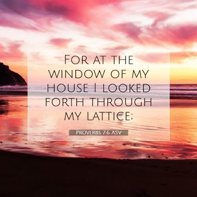 Picture 07 - Proverbs 7:6 ASV - For at the window of my house I looked forth - Bible Verse Picture