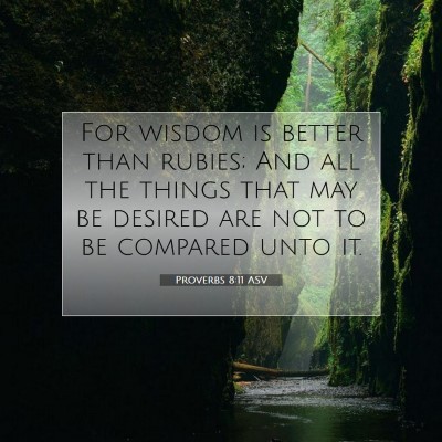 Picture 07 - Proverbs 8:11 ASV - For wisdom is better than rubies; And all the - Bible Verse Picture
