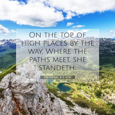 Picture 07 - Proverbs 8:2 ASV - On the top of high places by the way, Where the - Bible Verse Picture