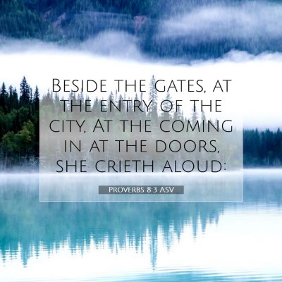 Picture 07 - Proverbs 8:3 ASV - Beside the gates, at the entry of the city, At - Bible Verse Picture