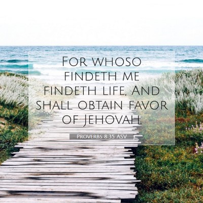 Picture 07 - Proverbs 8:35 ASV - For whoso findeth me findeth life, And shall - Bible Verse Picture