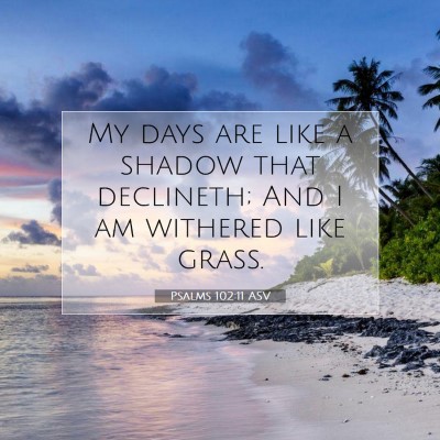 Picture 07 - Psalms 102:11 ASV - My days are like a shadow that declineth; And I - Bible Verse Picture