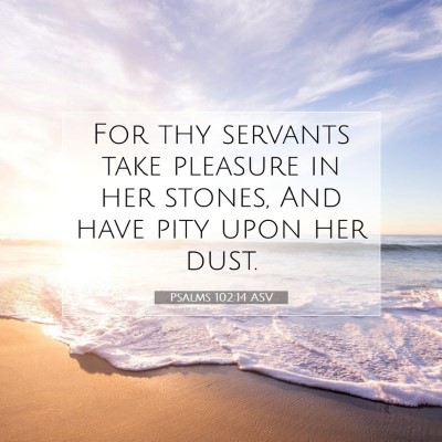 Picture 07 - Psalms 102:14 ASV - For thy servants take pleasure in her stones, And - Bible Verse Picture