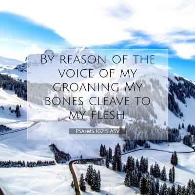Picture 07 - Psalms 102:5 ASV - By reason of the voice of my groaning My bones - Bible Verse Picture