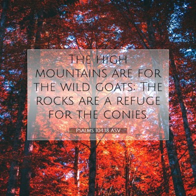 Picture 07 - Psalms 104:18 ASV - The high mountains are for the wild goats; The - Bible Verse Picture