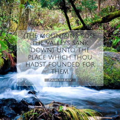 Picture 07 - Psalms 104:8 ASV - (The mountains rose, the valleys sank down) Unto - Bible Verse Picture