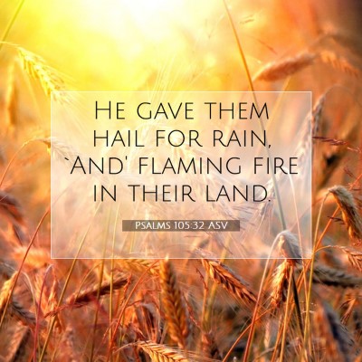 Picture 07 - Psalms 105:32 ASV - He gave them hail for rain, `And' flaming fire in - Bible Verse Picture