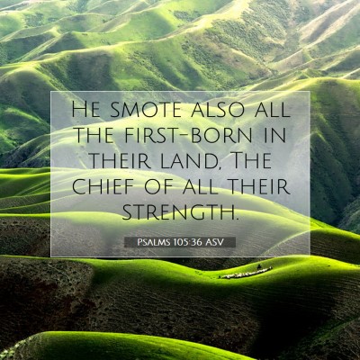 Picture 07 - Psalms 105:36 ASV - He smote also all the first-born in their land, - Bible Verse Picture
