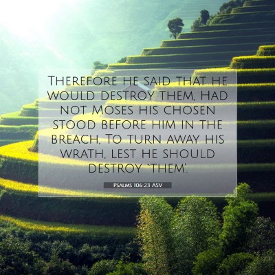 Picture 07 - Psalms 106:23 ASV - Therefore he said that he would destroy them, Had - Bible Verse Picture
