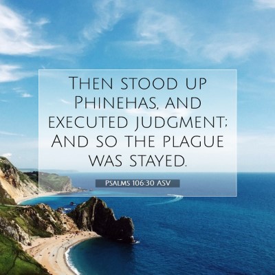 Picture 07 - Psalms 106:30 ASV - Then stood up Phinehas, and executed judgment; - Bible Verse Picture