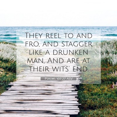 Picture 07 - Psalms 107:27 ASV - They reel to and fro, and stagger like a drunken - Bible Verse Picture