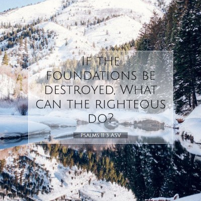Picture 07 - Psalms 11:3 ASV - If the foundations be destroyed, What can the - Bible Verse Picture