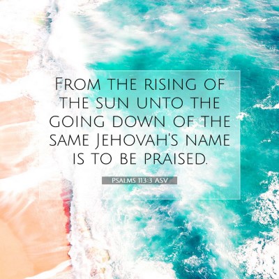 Picture 07 - Psalms 113:3 ASV - From the rising of the sun unto the going down of - Bible Verse Picture