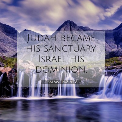 Picture 07 - Psalms 114:2 ASV - Judah became his sanctuary, Israel his - Bible Verse Picture