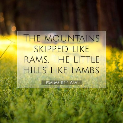 Picture 07 - Psalms 114:4 ASV - The mountains skipped like rams, The little hills - Bible Verse Picture