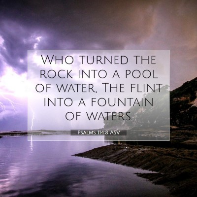 Picture 07 - Psalms 114:8 ASV - Who turned the rock into a pool of water, The - Bible Verse Picture