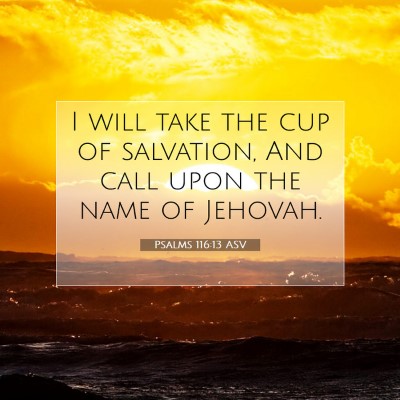 Picture 07 - Psalms 116:13 ASV - I will take the cup of salvation, And call upon - Bible Verse Picture