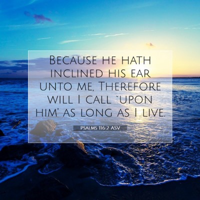 Picture 07 - Psalms 116:2 ASV - Because he hath inclined his ear unto me, - Bible Verse Picture