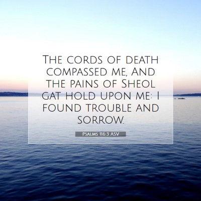 Picture 07 - Psalms 116:3 ASV - The cords of death compassed me, And the pains of - Bible Verse Picture