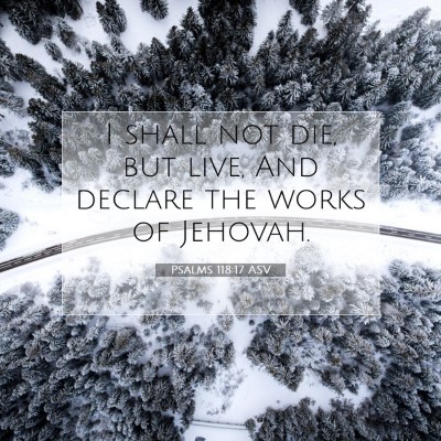 Picture 07 - Psalms 118:17 ASV - I shall not die, but live, And declare the works - Bible Verse Picture