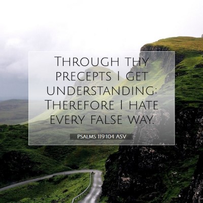 Picture 07 - Psalms 119:104 ASV - Through thy precepts I get understanding: - Bible Verse Picture