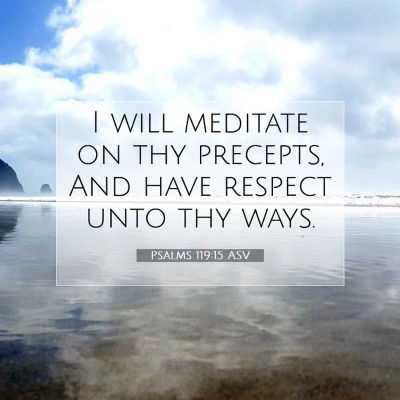 Picture 07 - Psalms 119:15 ASV - I will meditate on thy precepts, And have respect - Bible Verse Picture