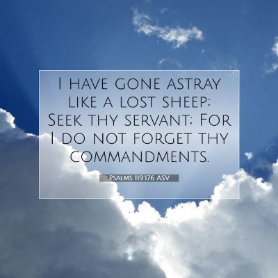 Picture 07 - Psalms 119:176 ASV - I have gone astray like a lost sheep; Seek thy - Bible Verse Picture