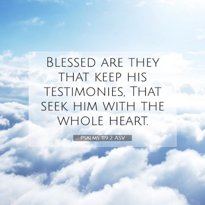 Picture 07 - Psalms 119:2 ASV - Blessed are they that keep his testimonies, That - Bible Verse Picture