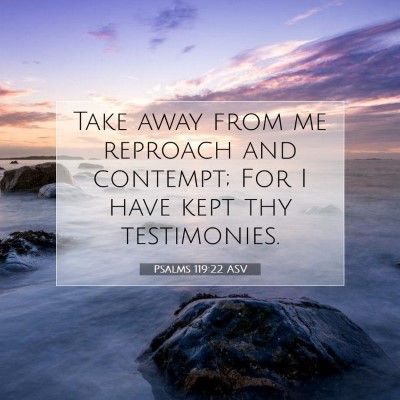 Picture 07 - Psalms 119:22 ASV - Take away from me reproach and contempt; For I - Bible Verse Picture