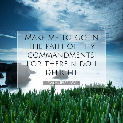 Picture 07 - Psalms 119:35 ASV - Make me to go in the path of thy commandments; - Bible Verse Picture