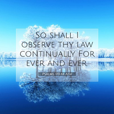 Picture 07 - Psalms 119:44 ASV - So shall I observe thy law continually For ever - Bible Verse Picture