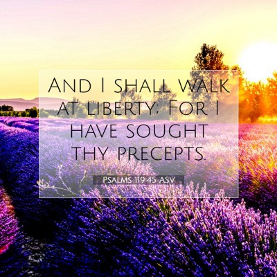 Picture 07 - Psalms 119:45 ASV - And I shall walk at liberty; For I have sought - Bible Verse Picture