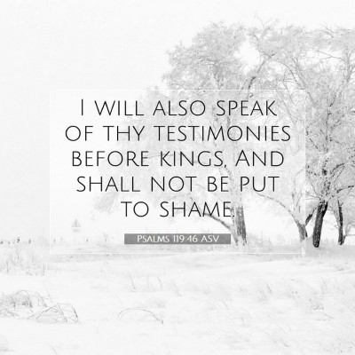 Picture 07 - Psalms 119:46 ASV - I will also speak of thy testimonies before - Bible Verse Picture