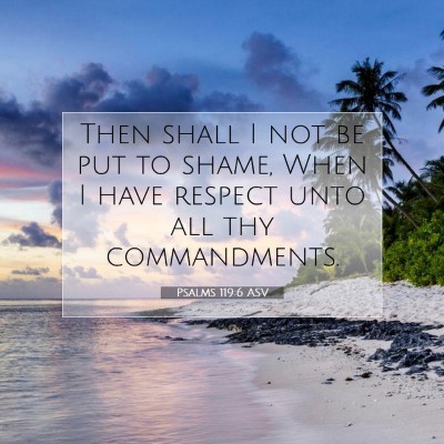 Picture 07 - Psalms 119:6 ASV - Then shall I not be put to shame, When I have - Bible Verse Picture