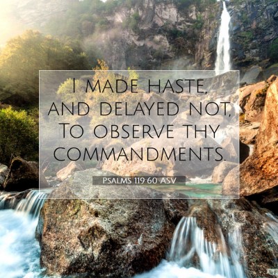 Picture 07 - Psalms 119:60 ASV - I made haste, and delayed not, To observe thy - Bible Verse Picture